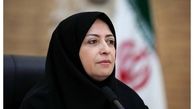 انصاری: بخش زیادی از قوانین زیست محیطی اجرا نشده است