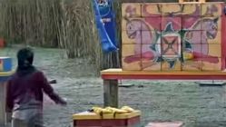 روزی که در یک سریال نمایش خانگی یک نفر اسم سگش را کورش گذاشت سکوت کردیم؛ حالا به نمادهای باستانی ایران سنگ می زنیم