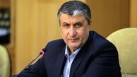 رئیس سازمان انرژی اتمی: ۱۲۰ بازرس آژانس برای ورود به کشور تائید شده‌اند
