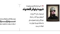 اعتراض «مهری طالبی دارستانی» طراح کلینیک ترک بی‌حجابی به تصویر منتشر شده از شهید نیلوفر قلعه‌ونددر سایت منتسب به رهبر انقلاب