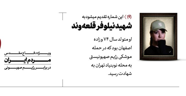 واکنش روزنامه دفتر رهبر انقلاب به حواشی عکس شهید نیلوفر قلعه‌وند