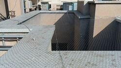 بهترین شرکت راپل در تهران