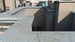 بهترین شرکت راپل در تهران