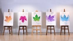 آخرین خبر از جشنواره فیلم کوتاه تهران