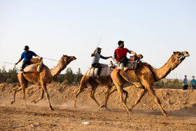 اعزام شترسوارهای ایران به بازی‌های کشورهای اسلامی