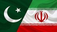 بیانیه مشترک ایران و پاکستان منتشر شد