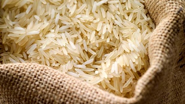نیمی از برنج امسال، وارداتی شد