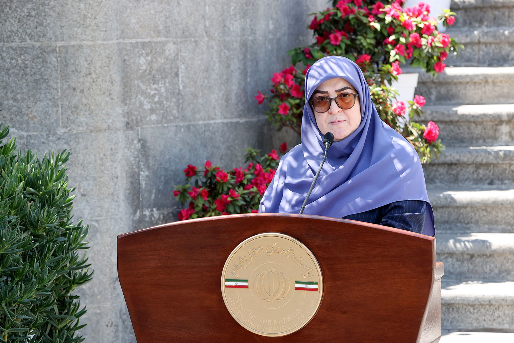 واکنش مهاجرانی به عدم شرکت ایران در اجلاس شرمالشیخ: فقط دولت تصمیمگیر نیست؛ جمعبندی این بود