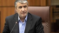 رئیس سازمان انرژی اتمی راهی وین شد