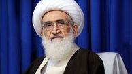 آیت الله نوری همدانی: طرح نور نیروی انتظامی امری مبارک و مورد حمایت است.