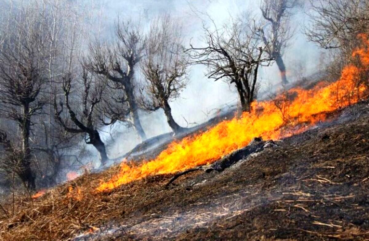 یک‌ونیم هکتار جنگل در دل گیلان سوخت / دستور استاندار برای اعزام بالگرد آب‌پاش به نقاط‌صعب العبور