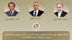 رایزنی میانجی‌گرایانه وزیر خارجه مصر با عراقچی و گروسی