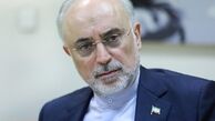 علی اکبر صالحی: توافق ایران و آژانس امری مثبت و رو به جلوست
