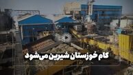 ویدئو | چرا وارد کننده شکر شدیم؟