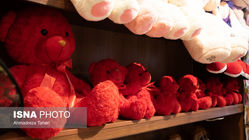 ماجرای نفوذ خرس‌های قرمز!